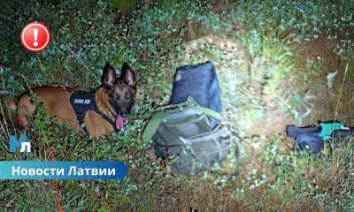 Четверо латвийцев пытались переправить в Россию десятки килограммов наркотиков — задержаны у границы!