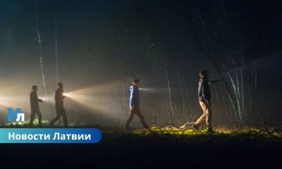 🚨 Спасатели вывели из леса четверых людей.