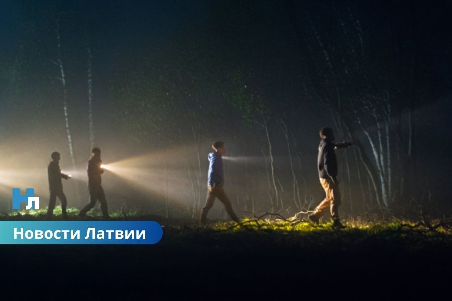 🚨 Спасатели вывели из леса четверых людей.