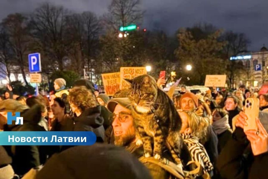 🇱🇻 Сейм Латвии проголосовал за выход из Стамбульской конвенции: грядёт политический кризис?