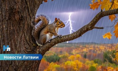 🌧 В воскресенье в Латвии пройдут дожди и возможны грозы