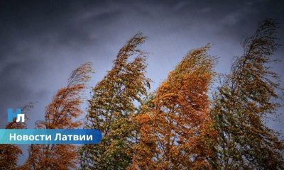 Латвию накроет циклон: синоптики предупреждают о ливнях и сильном ветре уже с середины недели.