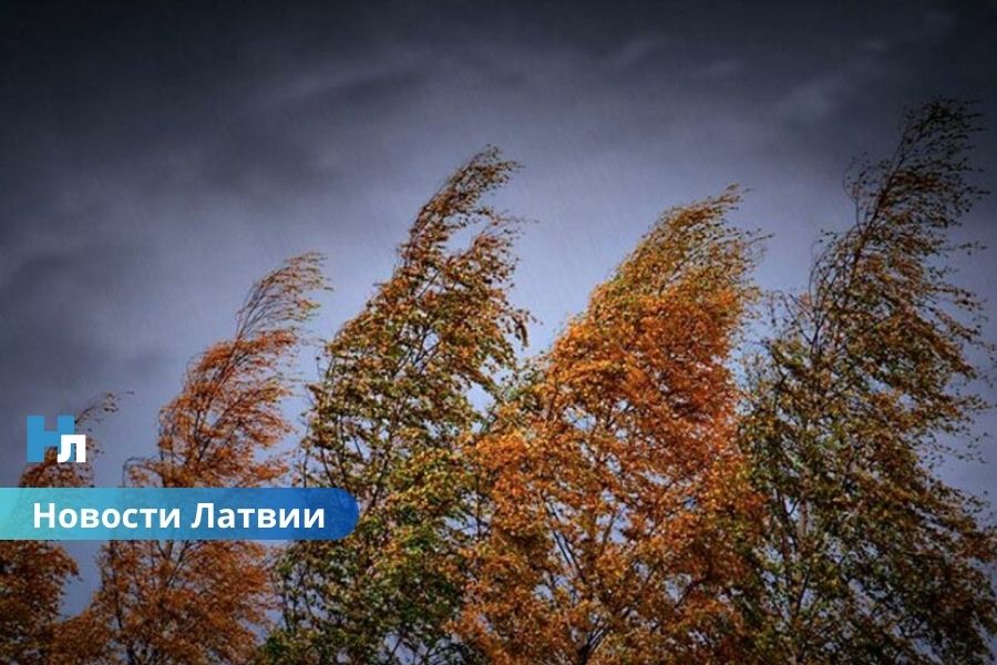 Латвию накроет циклон: синоптики предупреждают о ливнях и сильном ветре уже с середины недели.