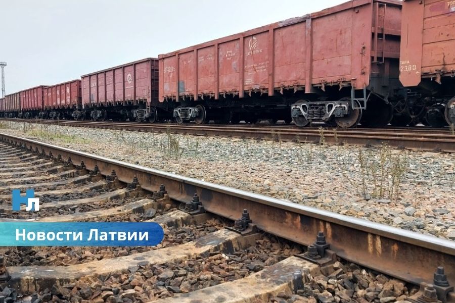 Неожиданные лидеры: Латвия и Эстония вошли в топ стран по доходам от экспорта в Россию