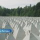 Сейм принял особый закон для приграничной зоны: что изменится на восточной границе Латвии?