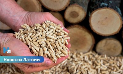 🔥Цены на древесные гранулы в Балтии резко выросли: что происходит на рынке топлива?