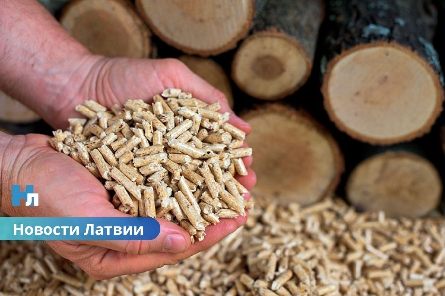 🔥Цены на древесные гранулы в Балтии резко выросли: что происходит на рынке топлива?