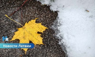 ❄️ В Латвии выпал первый снег сезона 2025/2026: зима напомнила о себе в Балвском крае.