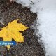 ❄️ В Латвии выпал первый снег сезона 2025/2026: зима напомнила о себе в Балвском крае.