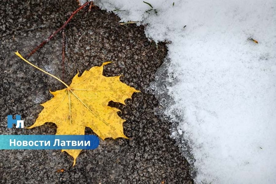 ❄️ В Латвии выпал первый снег сезона 2025/2026: зима напомнила о себе в Балвском крае.