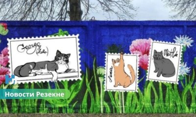 🎨 В Резекне откроют расписанную ограду приюта для животных: художники увековечили истории спасённых питомцев.