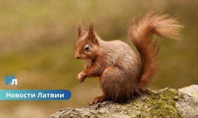 Латвия переписала температурные рекорды, но впереди резкое похолодание. Чего ждать от погоды?