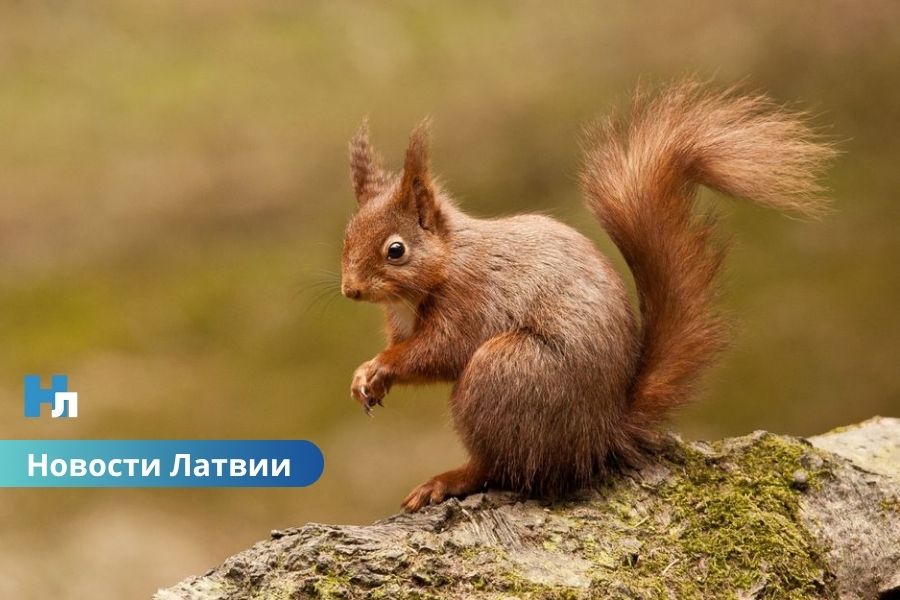 Латвия переписала температурные рекорды, но впереди резкое похолодание. Чего ждать от погоды?