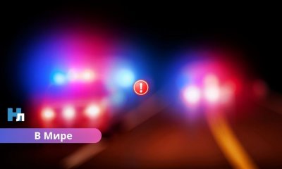 🚨 Трагедия в Литве: возле съехавшего в кювет Volvo нашли тело латвийца и раненого афганца — возможна связь с нелегальными мигрантами.