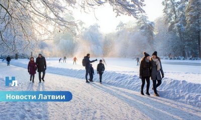 Метеорологи прогнозируют холодную зиму 2025–2026.