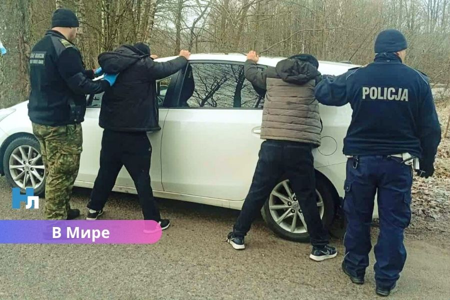 Польша задержала жительницу Латвии за перевозку афганцев.