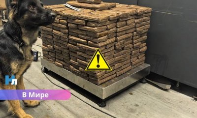 136 кг гашиша в фуре из Латвии: белорусские таможенники раскрыли крупный наркоканал.