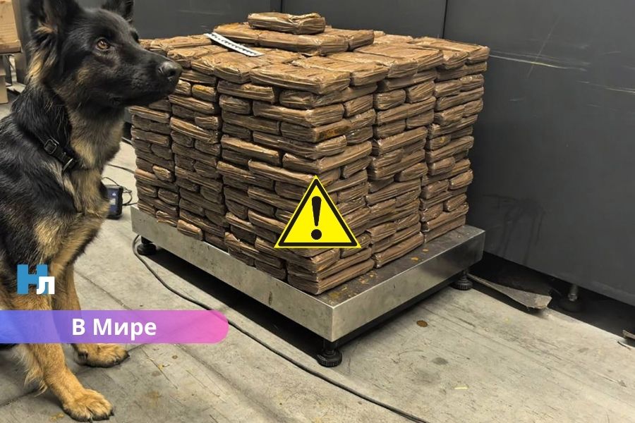 136 кг гашиша в фуре из Латвии: белорусские таможенники раскрыли крупный наркоканал.