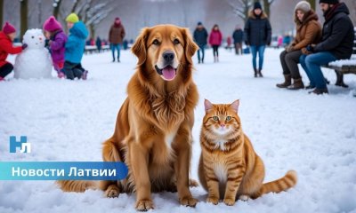 В Латвии официально началась метеорологическая зима: температура опустилась ниже нуля.