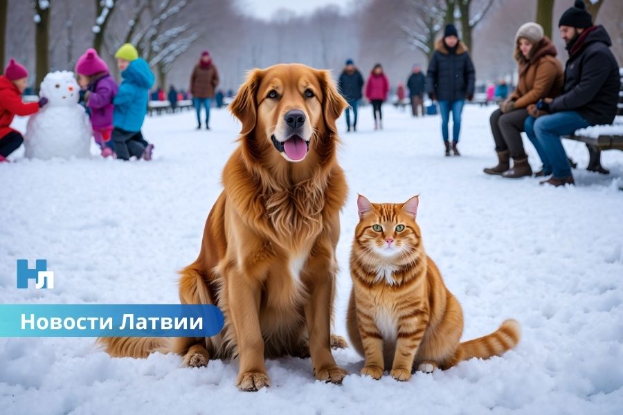 В Латвии официально началась метеорологическая зима: температура опустилась ниже нуля.