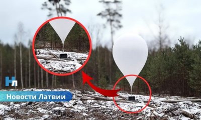 Контрабанда по воздуху: в Латвии перехватили семь «метеошаров» с сигаретами из Беларуси.