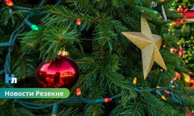 В Резекне выбрали главную городскую ёлку: установят 2 декабря, зажгут 7-го.