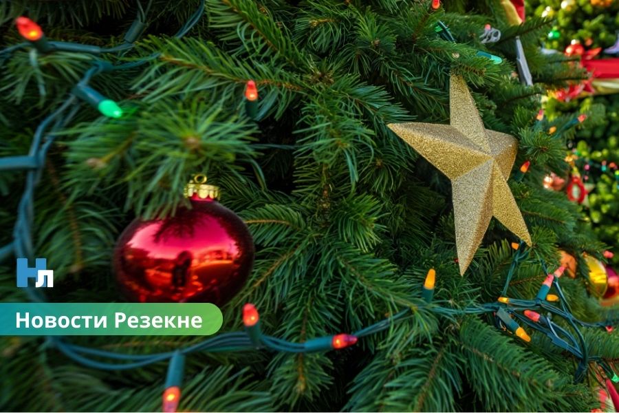 В Резекне выбрали главную городскую ёлку: установят 2 декабря, зажгут 7-го.