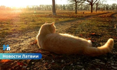 Синоптики: в пятницу ожидается теплый день; может быть побит температурный рекорд 1934 года