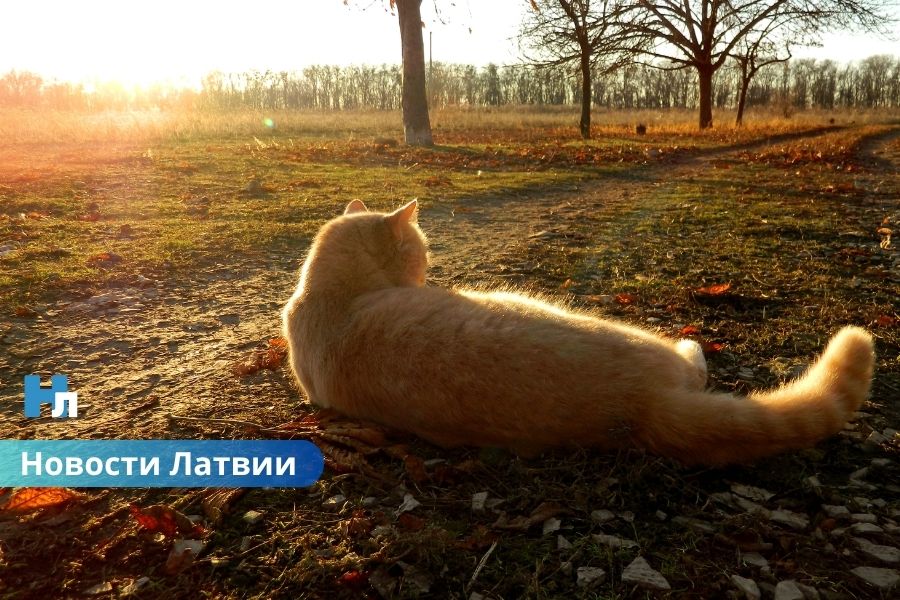 Синоптики: в пятницу ожидается теплый день; может быть побит температурный рекорд 1934 года