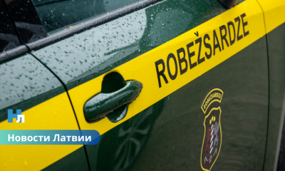 Дело передано в суд: мигрантов перевозили в поддельных полицейских и свадебных машинах.