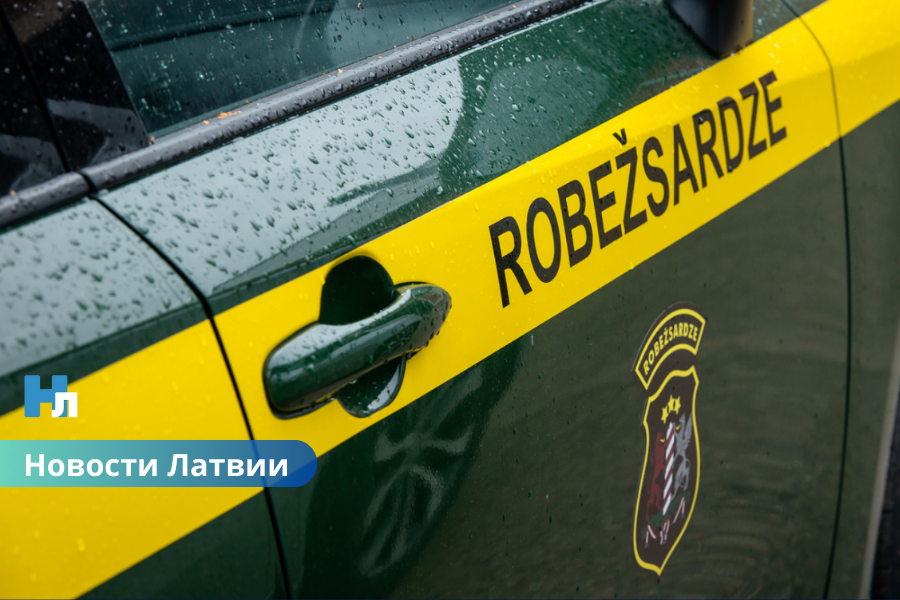 Дело передано в суд: мигрантов перевозили в поддельных полицейских и свадебных машинах.