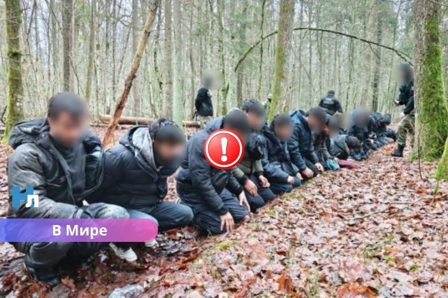 ДОПОЛНЕНО - фото: на польско-белорусской границе найден тоннель: задержано более 130 мигрантов.