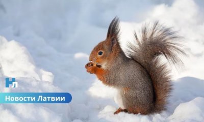 Синоптики рассказали когда ждать зиму.