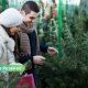 Продажа ёлочек в Резекне: что нужно знать, чтобы получить разрешение.