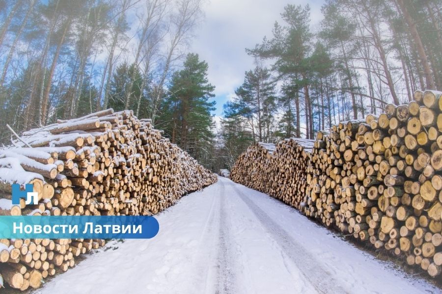 Налог на природу растёт: торф подорожает в пять раз, вводится сбор на необработанную древесину.