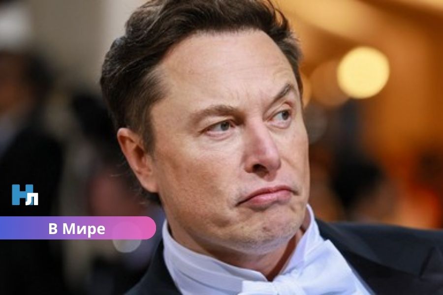 Илон Маск призвал ликвидировать Евросоюз: что произошло?