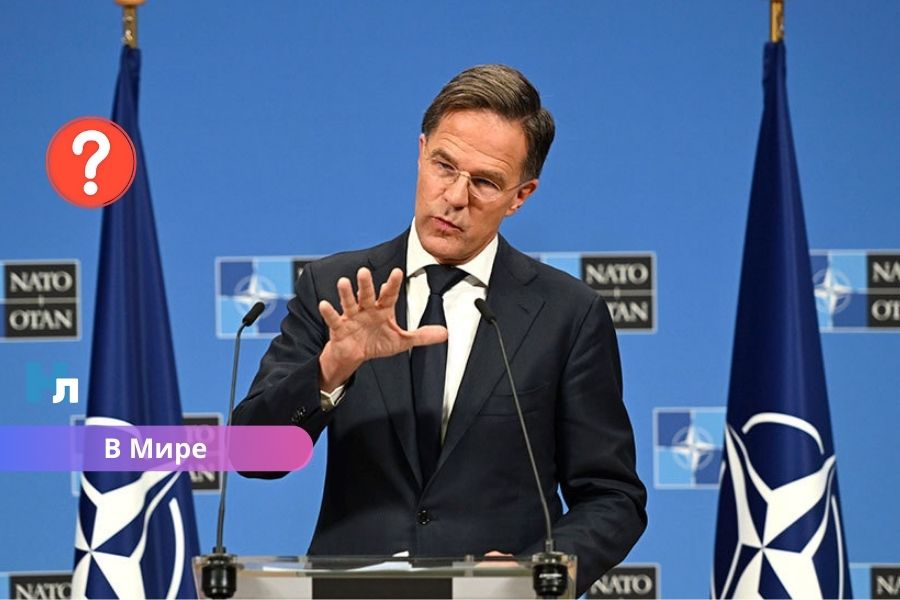 Европа без США не выстоит: глава НАТО сделал жесткое заявление в Европарламенте.