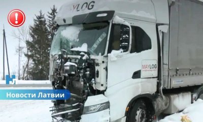 ВИДЕО: под Бауской две фуры попали в аварию: грузовик с животными вылетел в кювет.