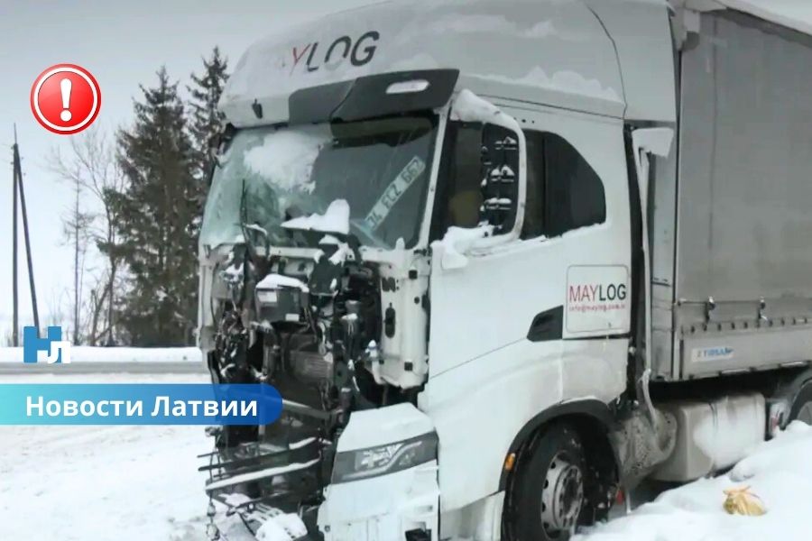 ВИДЕО: под Бауской две фуры попали в аварию: грузовик с животными вылетел в кювет.
