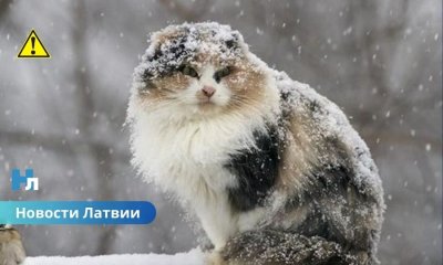 Мороз усилится ветром: синоптики предупреждают о неприятной погоде в Латвии.