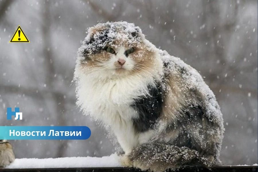 Мороз усилится ветром: синоптики предупреждают о неприятной погоде в Латвии.