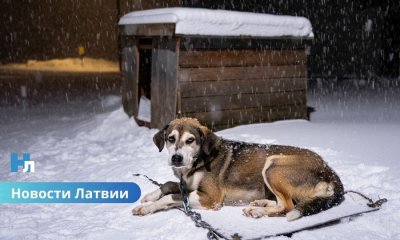 Арктический холод на подходе: в Латвии прогнозируют морозы до −30 градусов,.