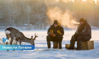 ❄️ Толщина льда в водоёмах Латвии местами превышает 30 сантиметров.