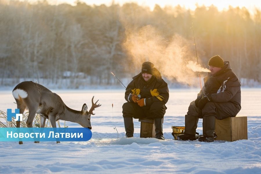 ❄️ Толщина льда в водоёмах Латвии местами превышает 30 сантиметров.
