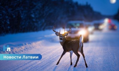 ❄️ Морозный удар по Латвии: ночью температура падала до –24,4 градусов