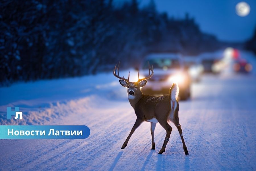 ❄️ Морозный удар по Латвии: ночью температура падала до –24,4 градусов