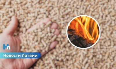 Рынок достиг предела: в Латвии не планируют наращивать производство древесных гранул.