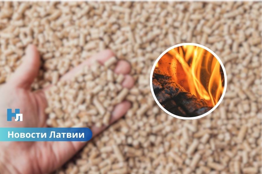Рынок достиг предела: в Латвии не планируют наращивать производство древесных гранул.