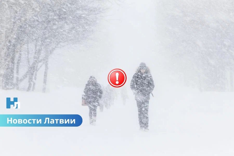 Юг Латвии ждёт серьёзное испытание зимой: до 20 см снега за сутки.