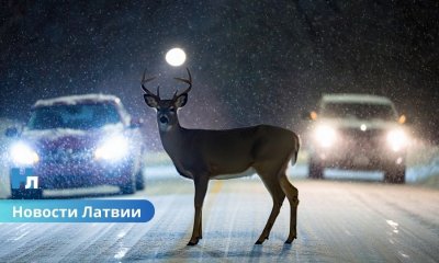 Морозы до −20: восток Латвии ждет самая холодная ночь недели.